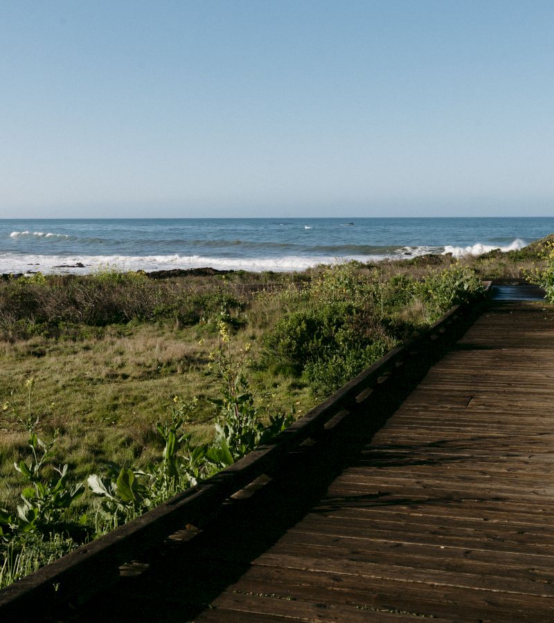 a wooden walkway leading to the ocean